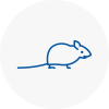 Mice Exterminators In Huyton